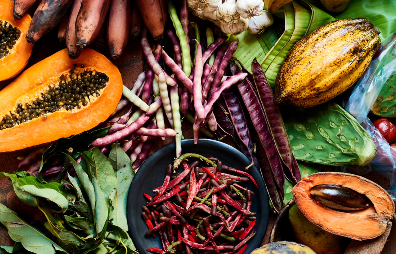 Asrın Öğretisi Ayurveda ile Doğru Yaşam Tarzı