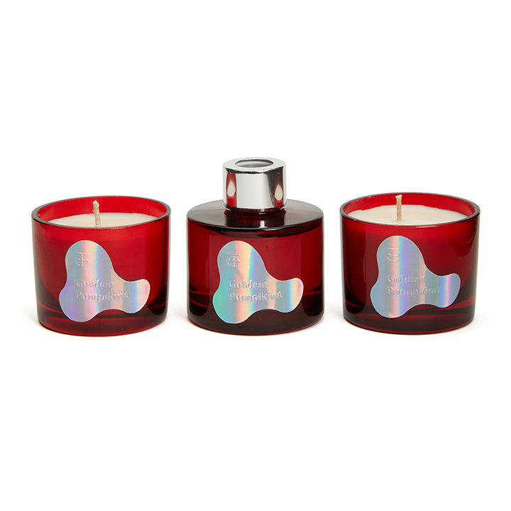 No.6 Mini Home Fragrance Mum Seti