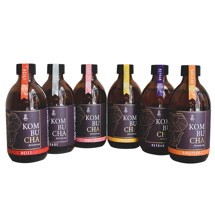 Karışık Kombucha 6'lı Paket