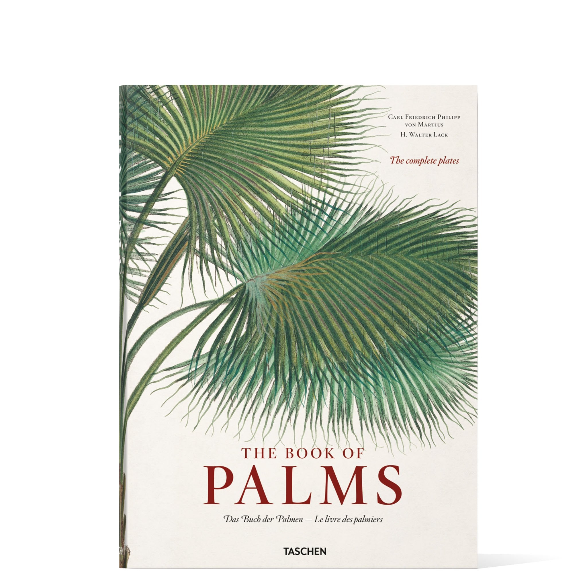 The Book of Palms